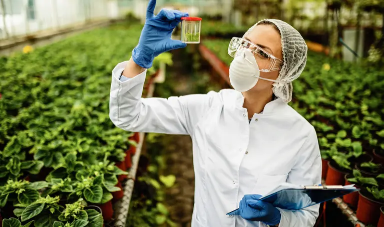 Halal Certification Requirements for Food Products