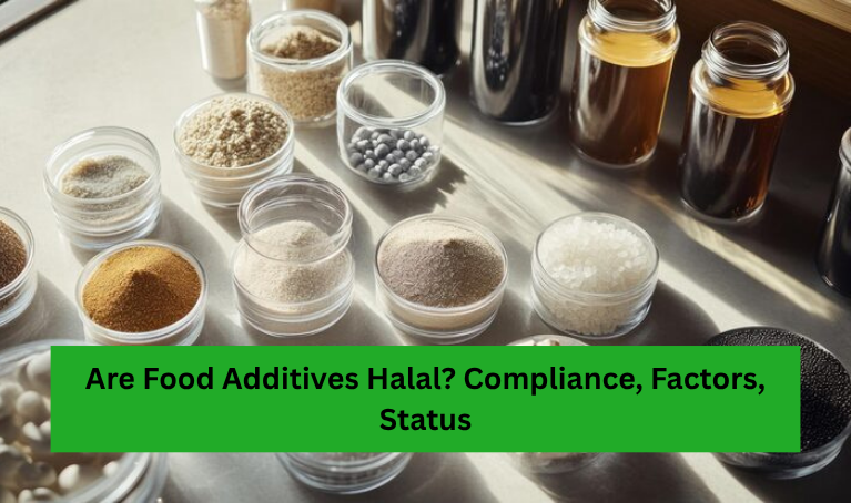 Are Food Additives Halal? Compliance, Factors, Status