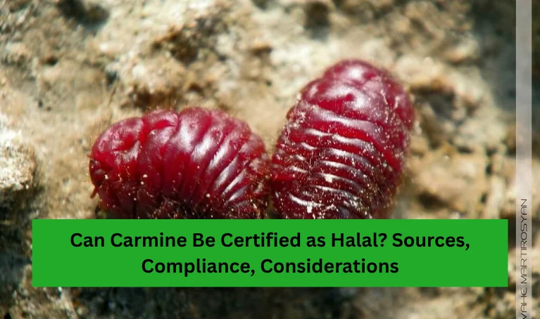 Can Carmine Be Certified as Halal? Sources, Compliance, Considerations